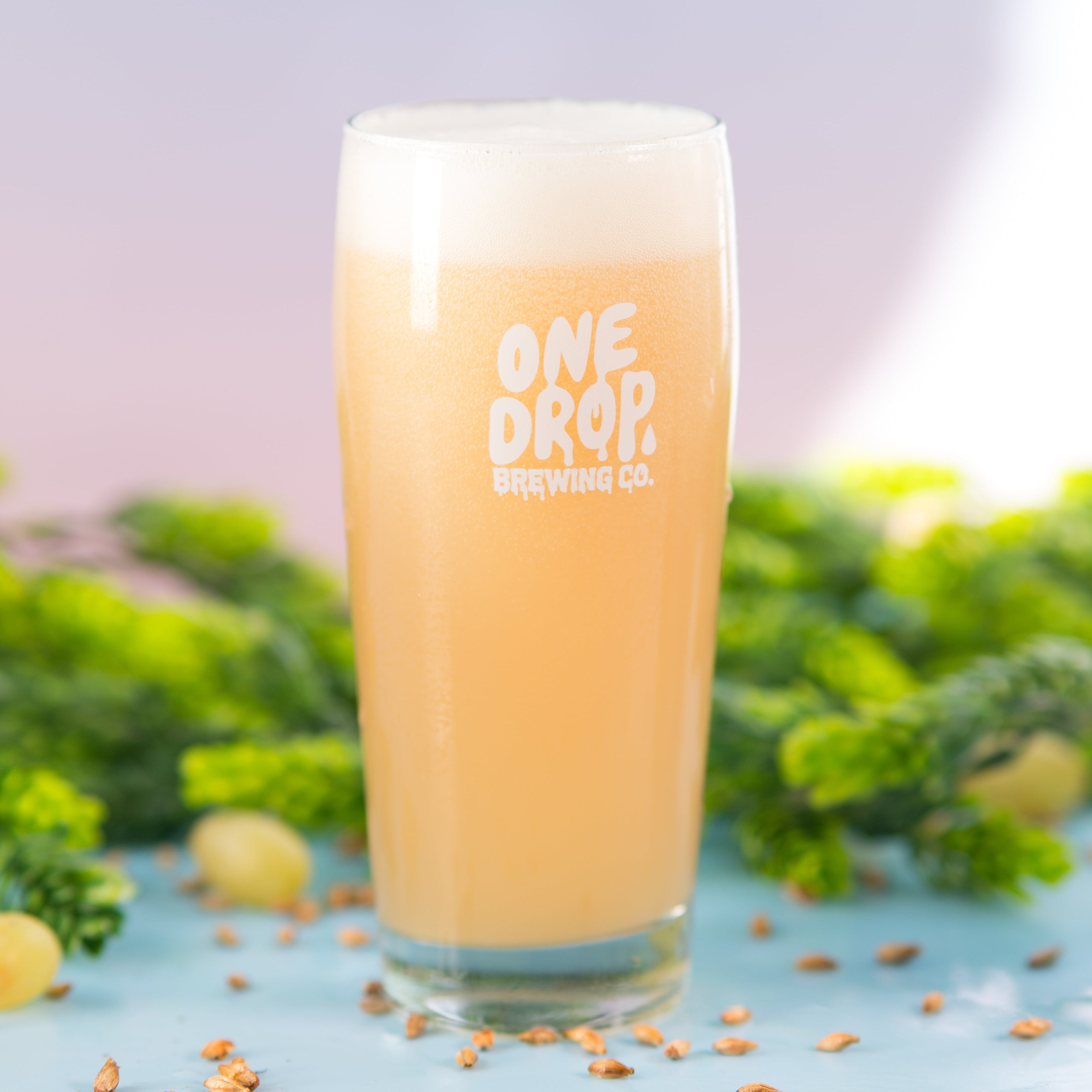 A tall clear glass with a white 'ONE DROP BREWING CO.' logo, filled with a pale golden beer and topped with a thick white foam head, set on a light blue surface with green hops and tan grain kernels in the background.